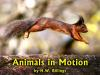 Animals_in_Motion