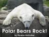 Polar_Bears_Rock