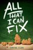 All_that_I_can_fix