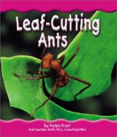 Leaf-cutting_ants